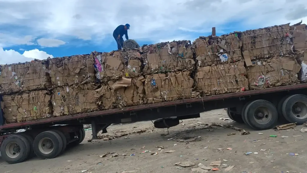 reciclaje de carton