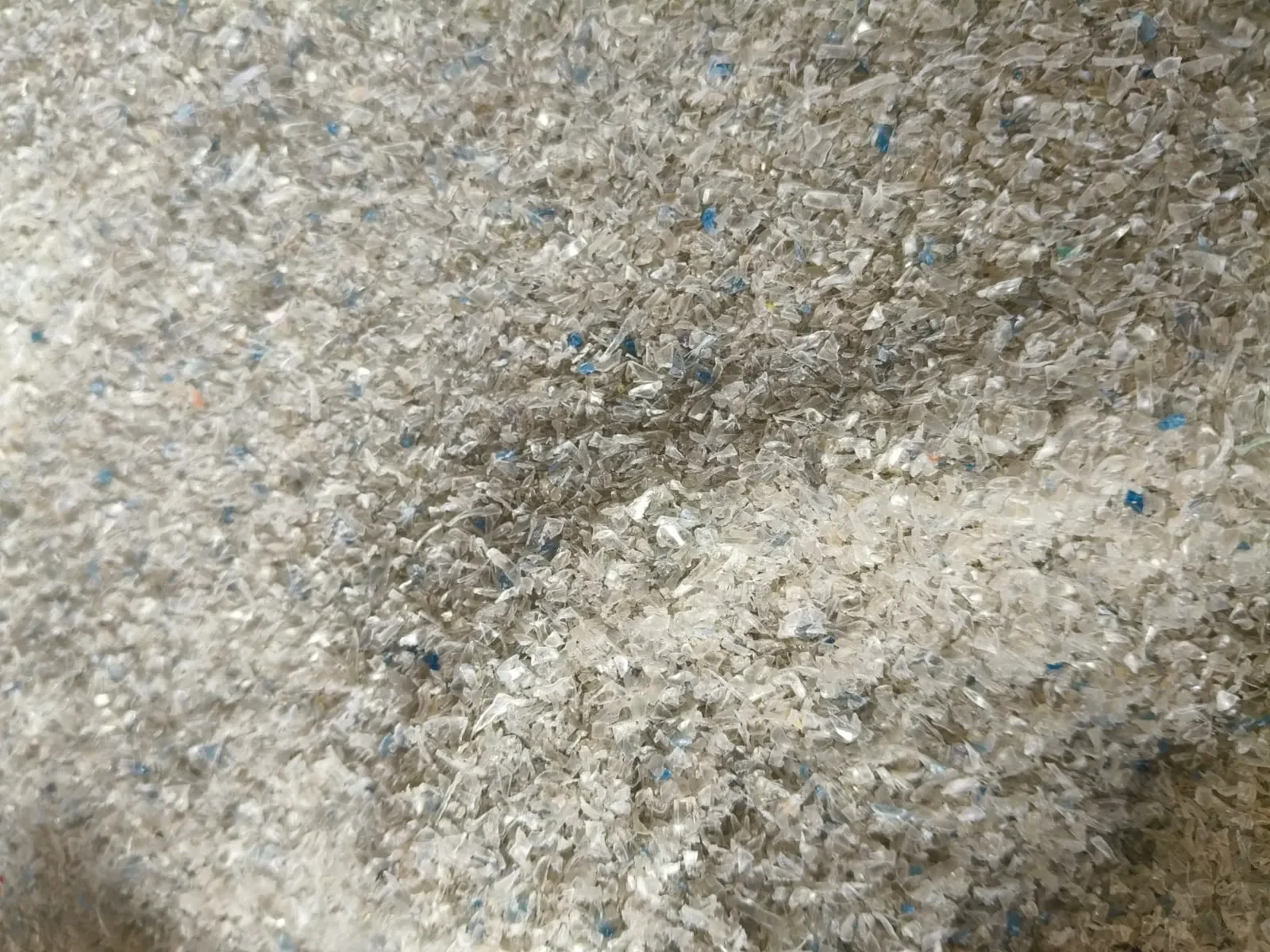 reciclaje PET industrial